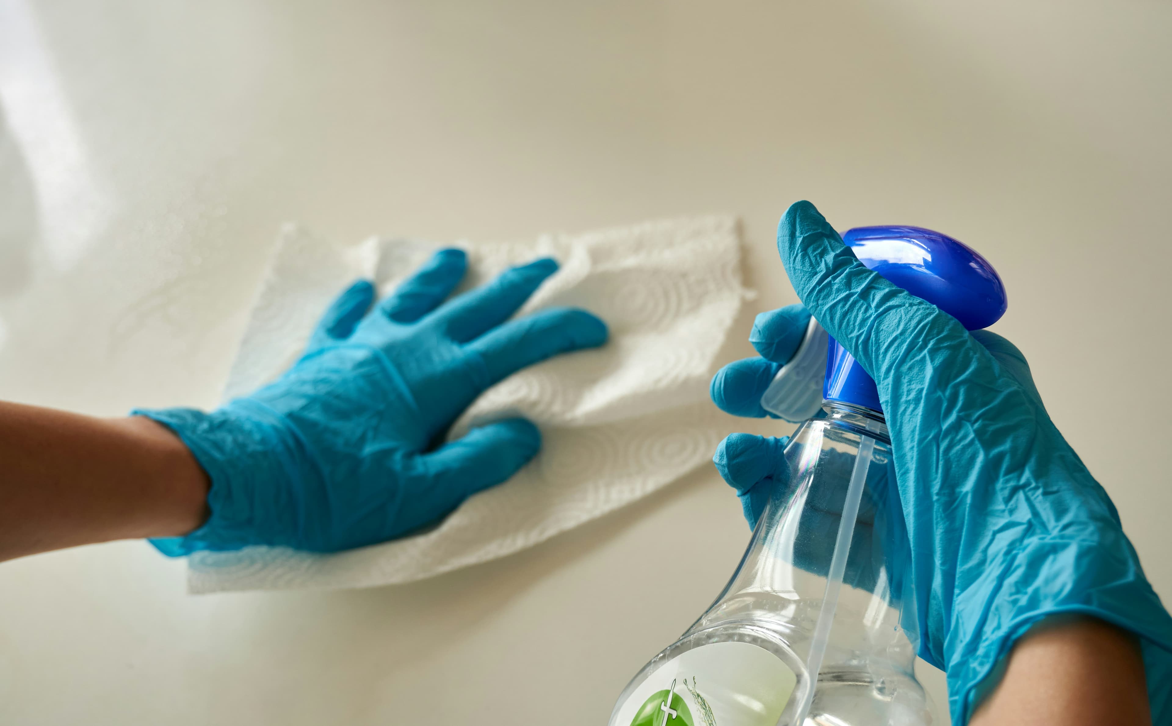 Standard Cleaning - Gallery 1